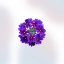 Extrato de Verbena Odorosa BIO