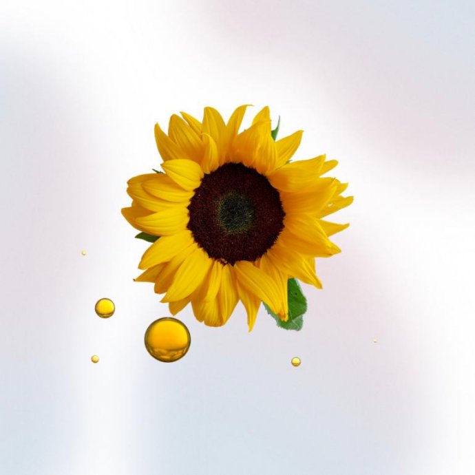 Aceite de Girasol BIO
